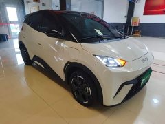 BYD Seagull 305km Freedom Edition - ფოტო 4