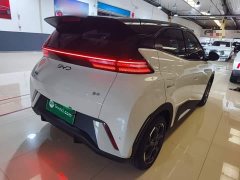 BYD Seagull 305km Freedom Edition - ფოტო 7