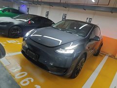 Tesla Model Y Rear-Wheel Drive - ფოტო 2