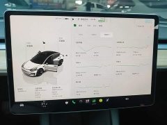 Tesla Model 3 2022 Rear-Wheel Drive - ფოტო 12