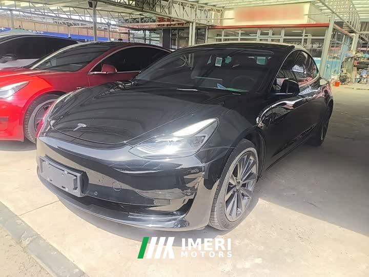 Tesla Model 3 Standard Range RWD Upgrade 3D6