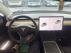 Tesla Model 3 Standard Range RWD Upgrade 3D6 - ფოტო 10