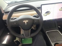 Tesla Model 3 Standard Range RWD Upgrade 3D6 - ფოტო 11