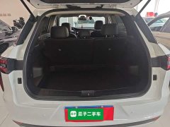 Nissan Chégan Star 260T Star Edition Pro - ფოტო 19