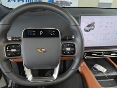 Li Auto L8 Pro - ფოტო 10