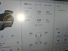 Li Auto L8 Pro - ფოტო 12
