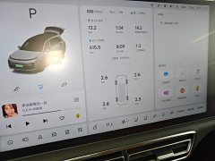 Li Auto L8 Pro - ფოტო 13