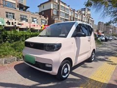 Wuling Hongguang MINIEV Macaron Fashion Edition LFP Battery - ფოტო 1
