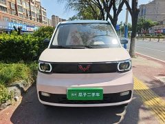 Wuling Hongguang MINIEV Macaron Fashion Edition LFP Battery - ფოტო 3
