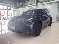 Tesla Model Y Rear-Wheel Drive - ფოტო 1