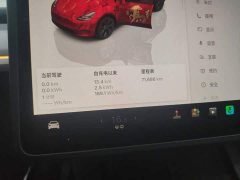 Tesla Model Y Rear-Wheel Drive - ფოტო 12