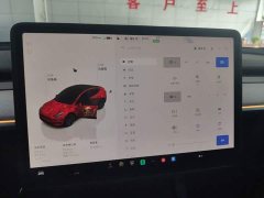 Tesla Model Y Rear-Wheel Drive - ფოტო 13