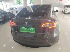 Tesla Model Y Rear-Wheel Drive - ფოტო 6