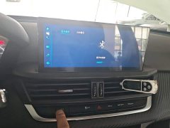 Dongfeng Yixuan GS 230T Automatic Chasing Star Edition - ფოტო 13