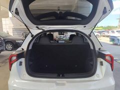 Geely Geometry E Firefly 401KM Linglong Tiger 4-Seater - ფოტო 19