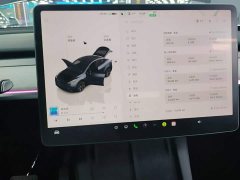 Tesla Model Y 2024 Rear-Wheel Drive - ფოტო 12