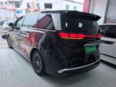 Denza BYD Denza D9 2022 DM-i 945 Luxury - ფოტო 5