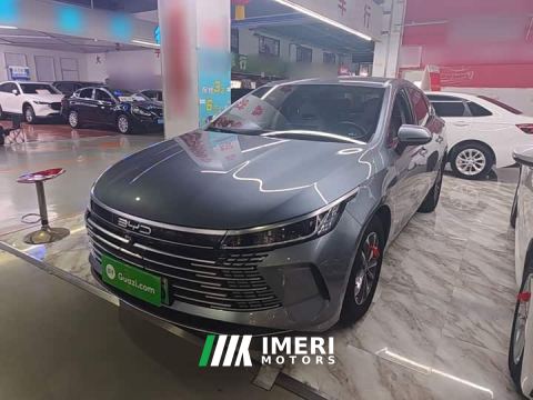 2024 BYD Destroyer 05 Glory Edition DM-i 55KM Luxury