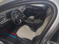 BYD Destroyer 05 Glory Edition DM-i 55KM Luxury - ფოტო 15