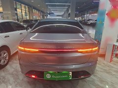 BYD Destroyer 05 Glory Edition DM-i 55KM Luxury - ფოტო 6