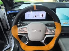 BYD Haima Sealion 06 2025 DM-i 205 Pilot Pro - ფოტო 11