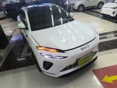 BYD Haima Sealion 06 2025 DM-i 205 Pilot Pro - ფოტო 4