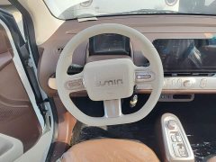 Changan Lumin Treasure Edition 205km Cool Love White CATL - ფოტო 11