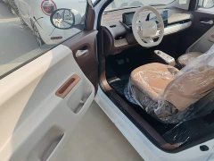 Changan Lumin Treasure Edition 205km Cool Love White CATL - ფოტო 16