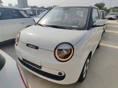 Changan Lumin Treasure Edition 205km Cool Love White CATL - ფოტო 3
