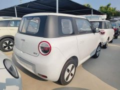 Changan Lumin Treasure Edition 205km Cool Love White CATL - ფოტო 7