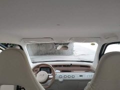 FAW Besturn Xiaoma 222km Colorful Edition - ფოტო 18