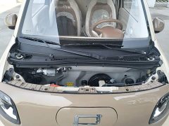 FAW Besturn Xiaoma 222km Colorful Edition - ფოტო 20