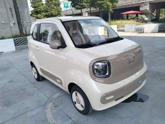 FAW Besturn Xiaoma 222km Colorful Edition - ფოტო 4