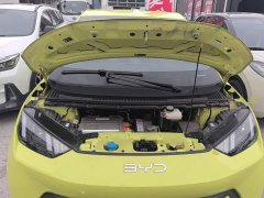BYD Seagull Glory Edition 305km Vitality Version - ფოტო 13