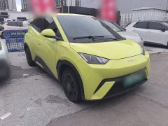 BYD Seagull Glory Edition 305km Vitality Version - ფოტო 1
