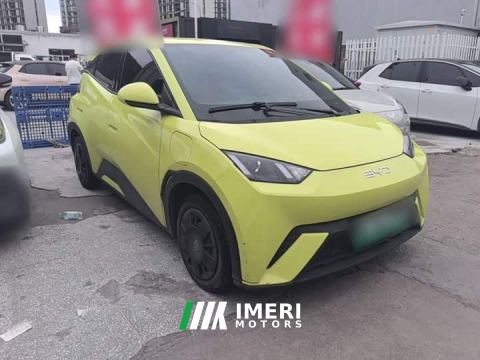 2024 BYD Seagull Glory Edition 305km Vitality Version