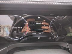 Tank 300 2023 Off-Road Edition 2.0T Conqueror - ფოტო 12