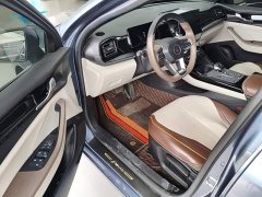 BYD Qin PLUS Glory Edition DM-i 55KM Leading - ფოტო 13