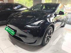 Tesla Model Y Rear-Wheel Drive - ფოტო 1