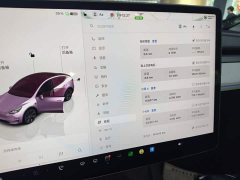 Tesla Model Y Rear-Wheel Drive - ფოტო 12
