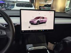 Tesla Model Y Rear-Wheel Drive - ფოტო 13