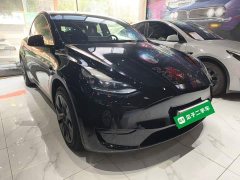 Tesla Model Y Rear-Wheel Drive - ფოტო 4