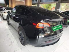 Tesla Model Y Rear-Wheel Drive - ფოტო 5