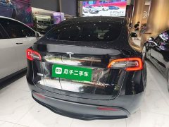 Tesla Model Y Rear-Wheel Drive - ფოტო 6