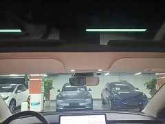 Tesla Model 3 Standard Range RWD Upgrade - ფოტო 14
