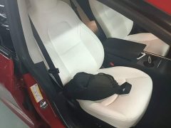 Tesla Model 3 Standard Range RWD Upgrade - ფოტო 20
