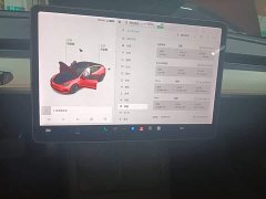 Tesla Model 3 Standard Range RWD Upgrade - ფოტო 9