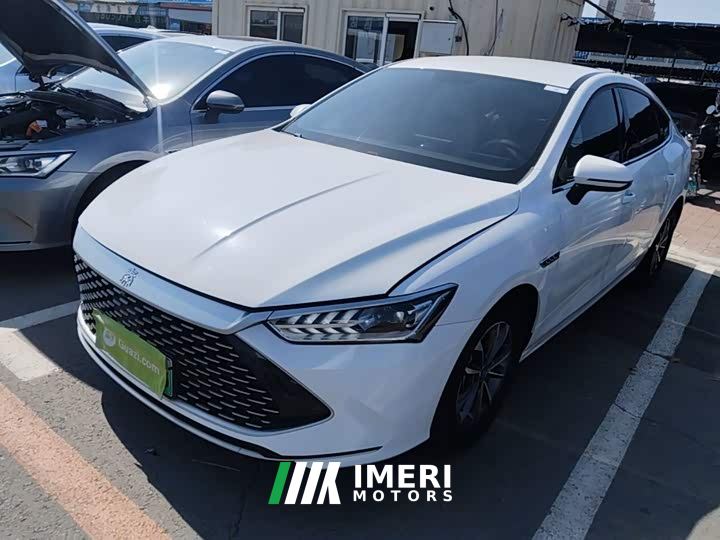 BYD Qin PLUS Champion Edition DM-i 55KM Leading