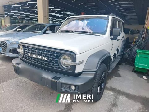 2022 Tank 300 2021 Off-Road Edition 2.0T Challenger - ავტომობილი ჩინეთიდან