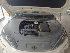 BYD Dolphin 07 DM-i 2025 DM-i 1.5L 125km Luxury - ფოტო 16